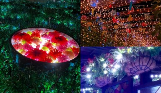 小金井公園「花と光のムーブメント～時を紡ぐ夏の浪漫」開催中