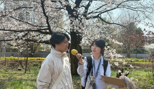 3/29(日) 日曜お役立ち隊『屋敷林の観桜会』byソノタ