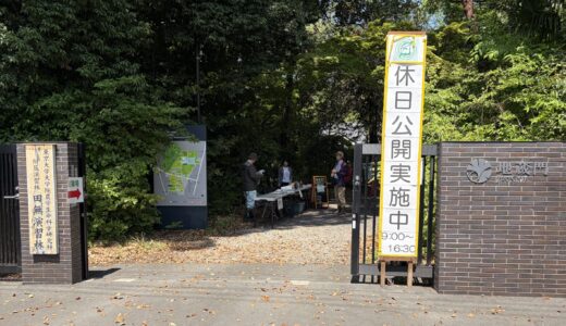 4/19(日) 日曜お役立ち隊 「東京大学田無演習林 春の休日公開」 by じゅんじゅん