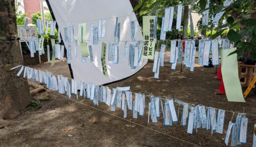 西東京七夕まつり2026　願い事インタビューをしました！